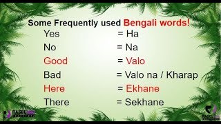 Learn Some Frequently Used Bengali Words in English Part 1 [upl. by Banerjee]