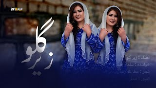 New Hazaragi Song  Salman hamdard  Ziar Gul  آهنگ جدید از سلمان همدرد [upl. by Goldia]