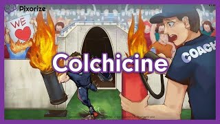 Colchicine Mnemonic for Nursing Pharmacology NCLEX [upl. by Zonnya]