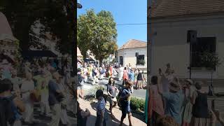 Ratha yatra Lendava Slovenija [upl. by Godfrey988]