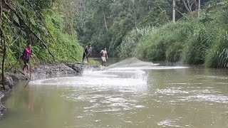 DETIKDETIK PALING MENEGANGKAN JALA IKAN DAPAT IKAN SEGEDE BANTAL [upl. by Nirehs424]