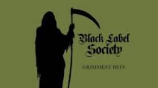 Room of Nightmares  Black Label Society [upl. by Ttennaej]