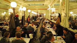 French brasseries Where tradition is on the menu • FRANCE 24 English [upl. by Vookles]