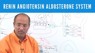 Renin Angiotensin Aldosterone System  RAAS👨‍⚕️ [upl. by Jahncke]