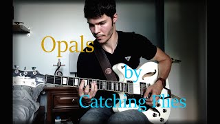 Opals by Catching Flies Cover [upl. by Anyahs201]