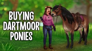 BUYING THE NEW DARTMOOR PONIES IN STAR STABLE BUYING THE SAME HORSE TWICE [upl. by Acissehc]