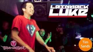 Laidback Luke Live  Tomorrowland 2012  Full Set 720p  Download [upl. by Britton]