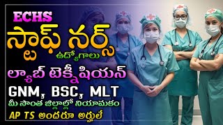 👌ECHS  Staff Nurse Jobs  GNM  Bsc Lab టెక్నీషియన్  MLT  మీ సొంత జిల్లాలో నియామకం  TS AP 🔥🔥 [upl. by Gasper80]