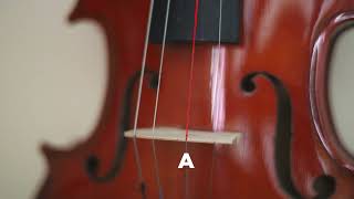 Ultimate Violin Tuning  Easy and Fast [upl. by Icyaj]