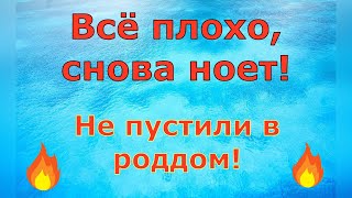 Деревенский дневник очень многодетной мамы \ Всё плохо снова ноет Не пустили в роддом \ Обзор [upl. by Arrec846]