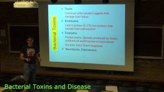 Bacterial Toxins [upl. by Wootan]