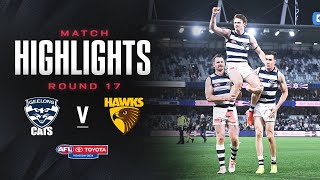 Geelong Cats v Hawthorn Highlights  Round 17 2024  AFL [upl. by Ellennahs]