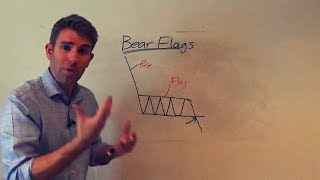 How to Trade a Bearish Flag Pattern like a Pro 👍 [upl. by Ramoh]