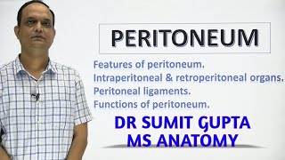 PERITONEUM Part 1 [upl. by Pasadis]