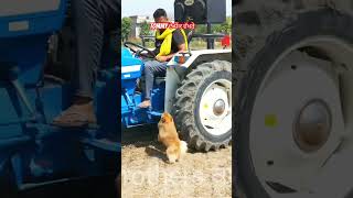 Tommy ਜਵਾਕਾਂ ਤੋਂ ਵਧਕੇ doglover funny [upl. by Tenney]