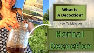 What Is A Decoction How To Make A Decoction [upl. by Ailimaj81]