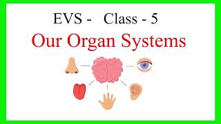 Organ System Names of Human Organ Systems Class 5  book back exercise  question and answer [upl. by Enautna726]