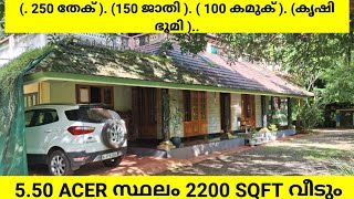 550 ACER സ്ഥലം 2200 sqft വീടും 5 bhk വീട് 250 തേക് 150 ജാതി കൃഷി ഭൂമി ലാഭം video കണ്ടു നോകാം [upl. by Toh917]