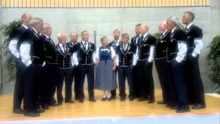 Jodlerklub Edelweiss Untersiggenthal am Eidgenössischen Jodlerfest in Interlaken 2011 [upl. by Razec]