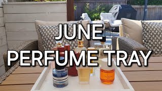 JUNE PERFUME TRAY  MAY TRAY RECAP  RAPID REVIEWS ON POPULAR FRAGRANCES [upl. by Pierette]