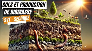 Sols et production de biomasse  SVT seconde [upl. by Eenor]