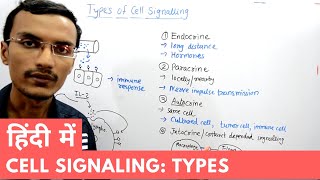 Types of Cell Signalling in Hindi [upl. by Corydon]