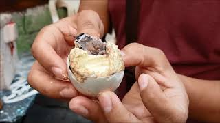 Comiendo embrión de pato Balot o Balut en Filipinas [upl. by Novaat]