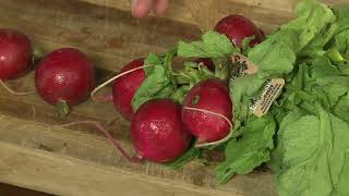 Ravishing Radishes for Tacos  Your Produce Man [upl. by Vedis173]