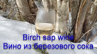 Birch sap wineВино из березового сок [upl. by Ringler]