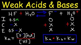 Acid Base Titration Curves [upl. by Changaris]