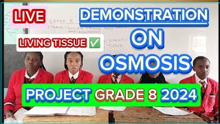 How To Demonstrate Osmosis In Living TissuesScience Grade 8 Project 2024 [upl. by Ydnam]