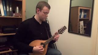 The Lilting Banshee Traditional Irish Jig played by Tom Lloyd Paul Shippey Mandolin [upl. by Magel]