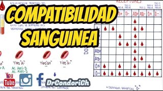 Compatibilidad Sanguínea  Transfusiones  Fisiología  Sistema Rh y AB0 Tipos de sangre [upl. by Gottlieb]