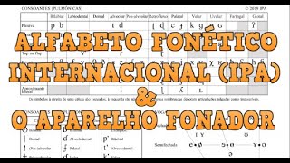 Alfabeto Fonético Internacional IPA  Abordagem Anatômica Linguística [upl. by Ahselak]