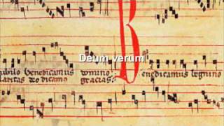 Gregorian chant  Deum verum [upl. by Allyce393]