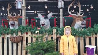 Singing Reindeers and Donkey at High Legh garden centre 2022 [upl. by Handler577]