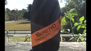 Wine Review Mionetto Prosecco Brut  TheWineStalkernet [upl. by Ailes719]