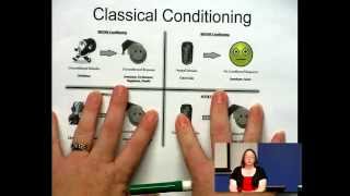 Classical Conditioning  Some Example with Dr Z [upl. by Emorej480]