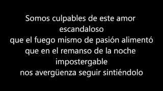 Babasónicos  Irresponsables con letra with lyrics [upl. by Irtimid]