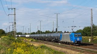 Güterverkehr in Großkorbetha  HVLE Maxima Rheincargo CTL SBB Cargo uvm [upl. by Grassi346]