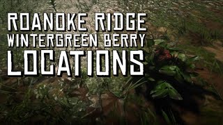 Red Dead Online  Roanoke Ridge Wintergreen Berry Locations [upl. by Ayekim948]