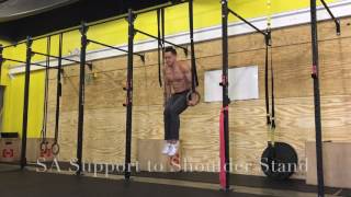 Essential Gymnastics Ring Workout For Strength amp Muscle [upl. by Cotter164]