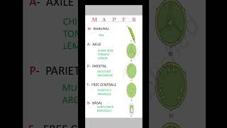 Placentation In Flowering plants ☘️ Morphology neet board [upl. by Ymmaj607]