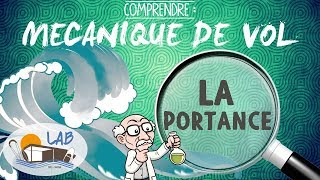 QUEST CE QUE LA PORTANCE   Mécanique de vol Kitesurf  LAB TV ⭐ [upl. by Rab]