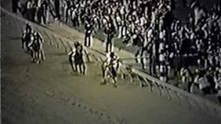 SECRETARIAT  1973 Preakness Stakes Alternate Footage [upl. by Tega]