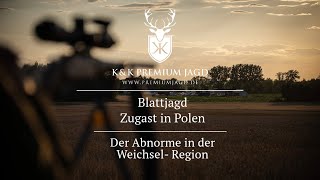 Die Blattzeit beginnt Auf zur Jagd nach Polen [upl. by Anetsirk166]