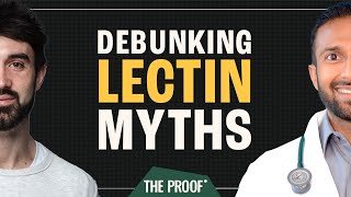 Decoding Dr Gundrys Claims on Lectins Fact Check  AFlanagan MNagra  The Proof Clips EP286 [upl. by Gretel]