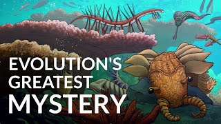 What Caused The Cambrian Explosion [upl. by Lesnah878]