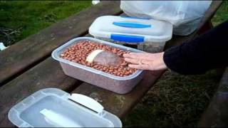 What to feed wild birds in winter amp what feeders to use [upl. by Harshman]