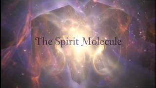 DMT The Spirit Molecule Teaser [upl. by Ahsenhoj771]